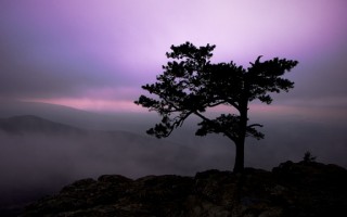 挽回婚姻，男人如何重建与妻子的信任和爱情