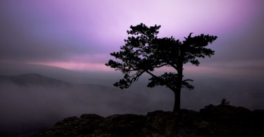 挽回爱情，男人分手后欠钱的复合策略