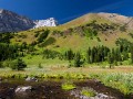 重燃爱火，天水婚姻挽回的策略与实践