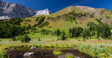 重建桥梁，挽回婚姻的全方位策略