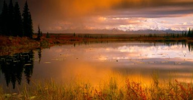 重建桥梁，如何挽回失去的爱情