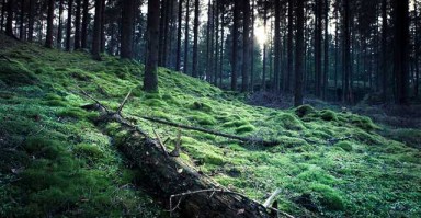 男人如何挽回女人心，多角度策略与真诚行动