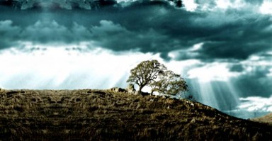 挽回爱情，当男性变得决绝时，女性如何重建关系