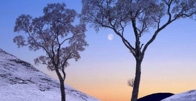 如何修复破碎的信任，男性挽回女性心的策略