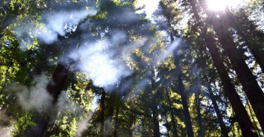 如何修复破裂的关系，女性在犯错后的挽回策略