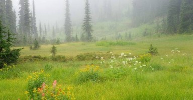 宜春婚姻挽回，重建信任与沟通的桥梁