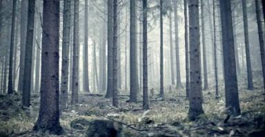 高情商女性如何巧妙挽回决绝的他