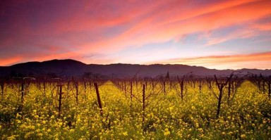 智慧与情感，聪明女人如何挽回男人的心