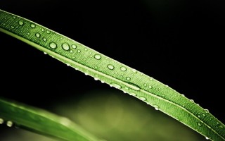 重燃旧爱，分手女性如何挽回前任