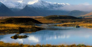 情感重生，如何用真诚与智慧挽回男人的心