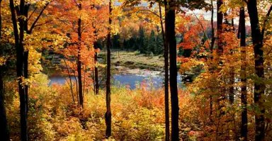 情感重生，男人和女人分手挽回的策略与心路历程