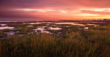 情感重建，男性挽回绝情女性的策略与心理指南