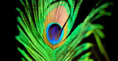 女性挽回男性，心理、策略与沟通的艺术