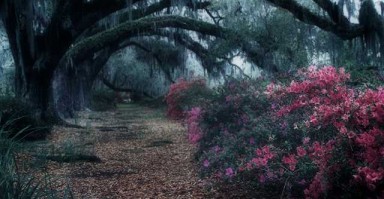 重塑自我，如何帮助依赖型女性找回独立与自信