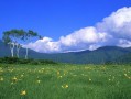 重塑幸福，挽回婚姻的全方位指南