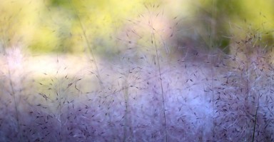 如何挽回提出离婚的男人，一个全面的指南