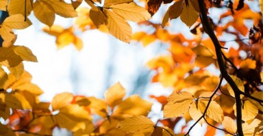 重建桥梁，凌源婚姻挽回的策略与实践